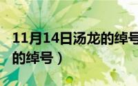 11月14日汤龙的绰号是什么（11月14日汤龙的绰号）