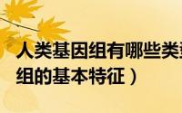 人类基因组有哪些类型?（11月13日人类基因组的基本特征）