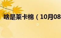 啥是莱卡棉（10月08日莱卡棉是什么面料）