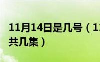 11月14日是几号（11月14日他是谁电视剧一共几集）