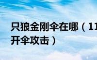 只狼金刚伞在哪（11月14日只狼金刚伞如何开伞攻击）
