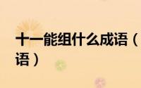 十一能组什么成语（11月14日们能组什么词语）