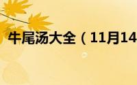牛尾汤大全（11月14日牛尾汤的做法刘益）