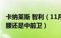 卡纳莱斯 智利（11月14日实况卡纳莱斯是前腰还是中前卫）