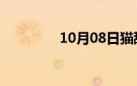 10月08日猫舔猫是咋回事