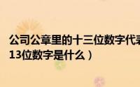 公司公章里的十三位数字代表什么（11月14日公司印章上的13位数字是什么）