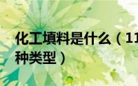 化工填料是什么（11月14日化工填料有哪几种类型）