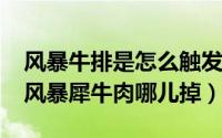 风暴牛排是怎么触发的（11月14日魔兽世界风暴犀牛肉哪儿掉）