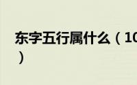 东字五行属什么（10月08日东字组词有哪些）