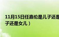 11月15日任嘉伦是儿子还是女儿呀（11月15日任嘉伦是儿子还是女儿）