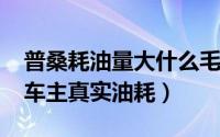 普桑耗油量大什么毛病（11月15日普桑油耗车主真实油耗）