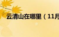 云清山在哪里（11月15日清云山总面积）