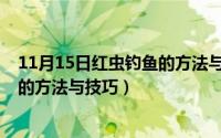 11月15日红虫钓鱼的方法与技巧图片（11月15日红虫钓鱼的方法与技巧）