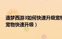 造梦西游3如何快速升级宠物（11月15日造梦西游3怎么让宠物快速升级）