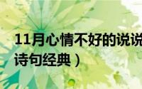 11月心情不好的说说（11月15日心情不好的诗句经典）