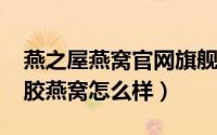 燕之屋燕窝官网旗舰店（11月15日燕之屋花胶燕窝怎么样）
