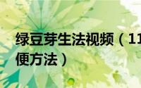 绿豆芽生法视频（11月15日如何生绿豆芽简便方法）