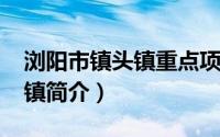 浏阳市镇头镇重点项目（11月15日浏阳镇头镇简介）