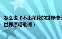 怎么也飞不出花花的世界谱子（11月15日怎么也飞不出花花世界原唱歌词）