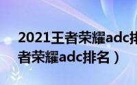 2021王者荣耀adc排行（11月15日2021王者荣耀adc排名）