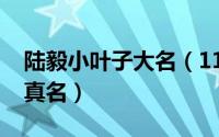 陆毅小叶子大名（11月15日陆毅女儿小叶子真名）