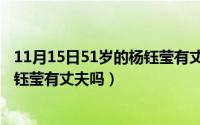 11月15日51岁的杨钰莹有丈夫吗视频（11月15日51岁的杨钰莹有丈夫吗）