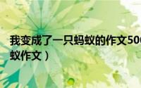 我变成了一只蚂蚁的作文500字（11月15日我变成了一只蚂蚁作文）