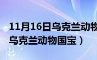 11月16日乌克兰动物国宝是什么（11月16日乌克兰动物国宝）