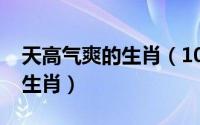天高气爽的生肖（10月08日天高气爽是什么生肖）