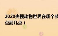 2020央视动物世界在哪个频道（11月16日央视动物世界几点到几点）