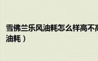 雪佛兰乐风油耗怎么样高不高（10月08日雪佛兰乐风怎么看油耗）