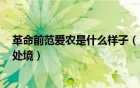 革命前范爱农是什么样子（11月16日革命前一年,范爱农的处境）