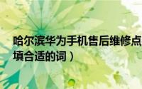 哈尔滨华为手机售后维修点在哪里（11月17日什么的天空.填合适的词）