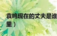 袁鸣现在的丈夫是谁（11月17日袁鸣祖籍哪里）