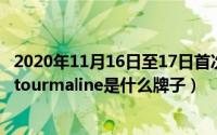 2020年11月16日至17日首次提出了什么的思想（11月17日tourmaline是什么牌子）