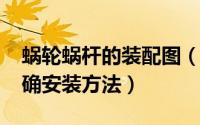 蜗轮蜗杆的装配图（11月16日蜗轮蜗杆的正确安装方法）