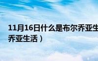 11月16日什么是布尔乔亚生活节日（11月16日什么是布尔乔亚生活）