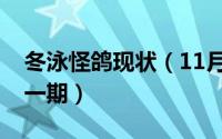 冬泳怪鸽现状（11月16日冬泳怪鸽最恐怖的一期）