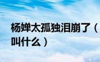 杨婵太孤独泪崩了（10月08日杨婵的扮演者叫什么）