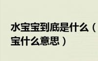 水宝宝到底是什么（10月08日网络用语水宝宝什么意思）