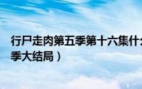 行尸走肉第五季第十六集什么意思（11月16日行尸走肉第5季大结局）