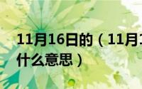 11月16日的（11月16日1122爱情数字代表什么意思）