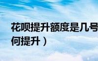 花呗提升额度是几号（10月08日花呗额度如何提升）