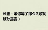 孙露 - 等你等了那么久歌词（10月08日等你等了那么久原唱版孙露露）