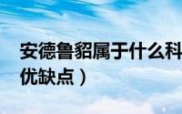 安德鲁貂属于什么科（10月08日安德鲁雪貂优缺点）