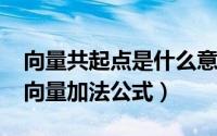 向量共起点是什么意思（10月08日共起点的向量加法公式）