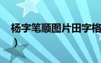 杨字笔顺图片田字格（11月17日杨字的笔顺）