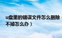 u盘里的错误文件怎么删除（11月17日u盘文件出现错误删不掉怎么办）