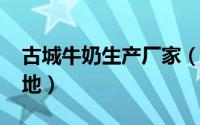 古城牛奶生产厂家（11月17日古城牛奶的产地）