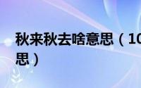 秋来秋去啥意思（10月08日秋去秋来什么意思）